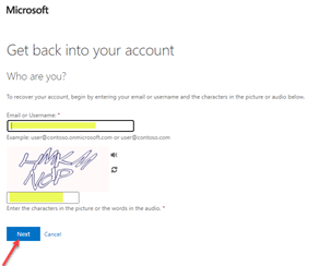 Microsoft password screen step 1